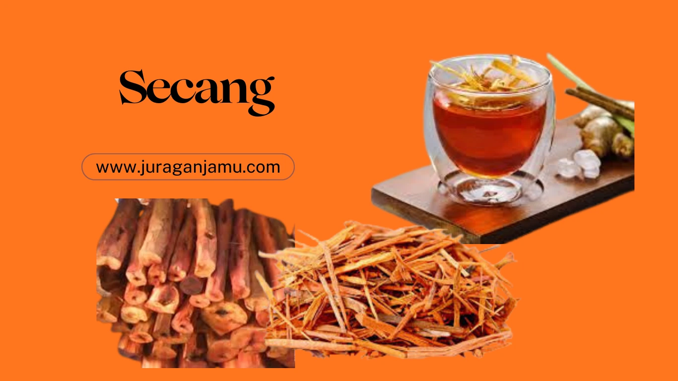 jual secang untuk pengobatan