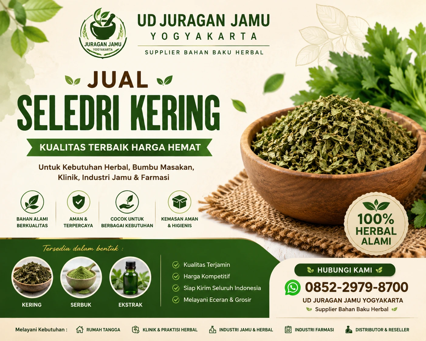 jual seledri kering harga hemat