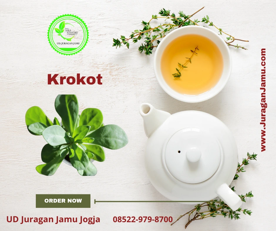 krokot harga grosir