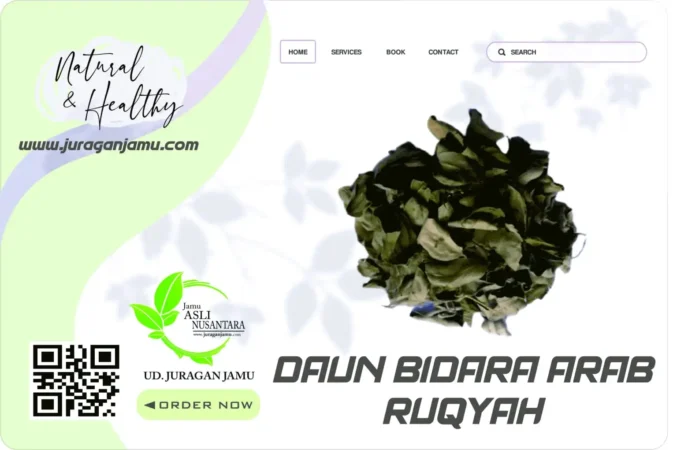 Jual Grosir Daun Bidara Arab Di Ud Juragan Jamu Sleman Jogja