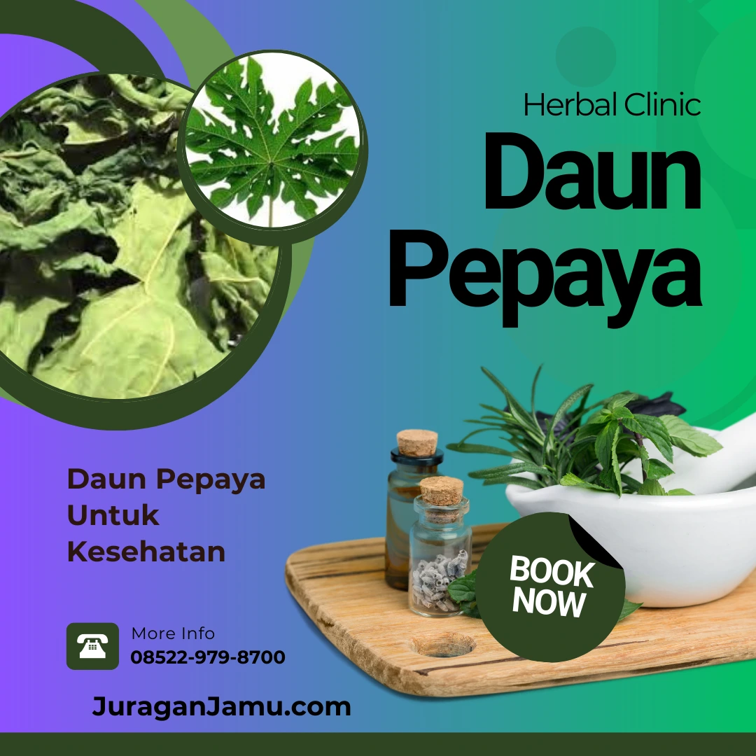 Minuman Penyegar dengan Akar Pepaya Harga Grosir di UD Juragan Jamu Sleman Jogja