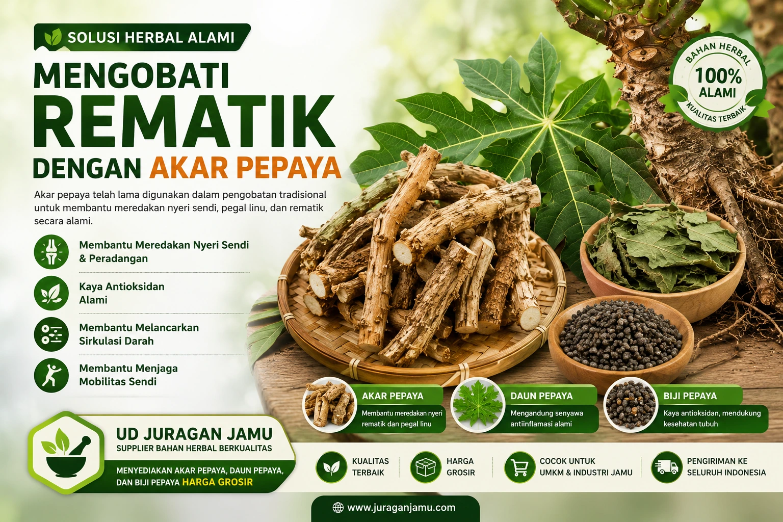 akar pepaya untuk rematik