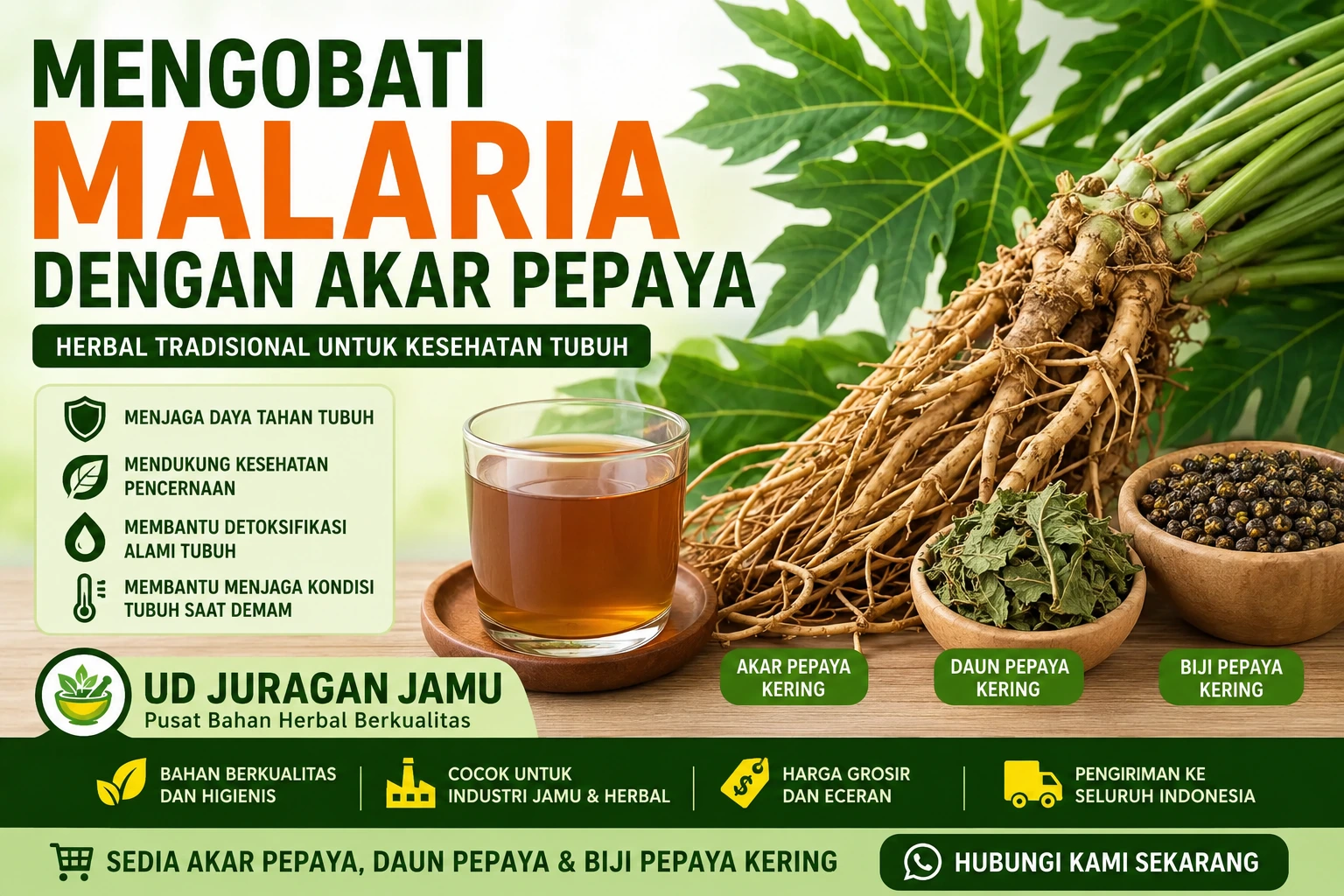 manfaat akar pepaya