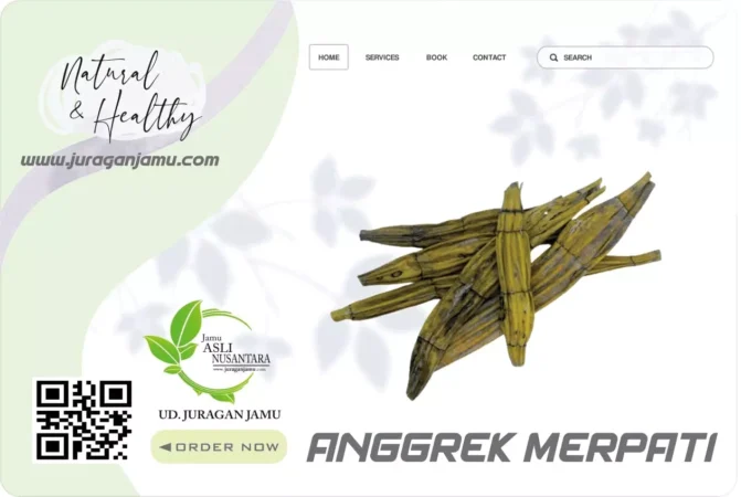 Jual Anggrek Merpati Kering UD Juragan Jamu Jogja