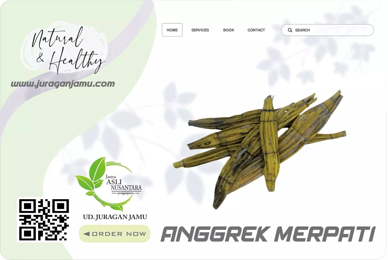 Jual Anggrek Merpati Kering UD Juragan Jamu Jogja