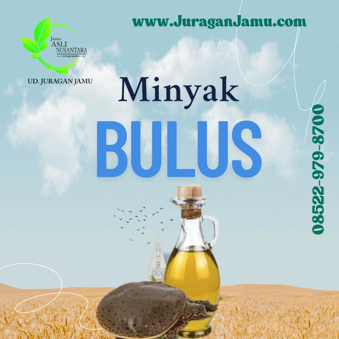 jual minyak bulus berkualitas
