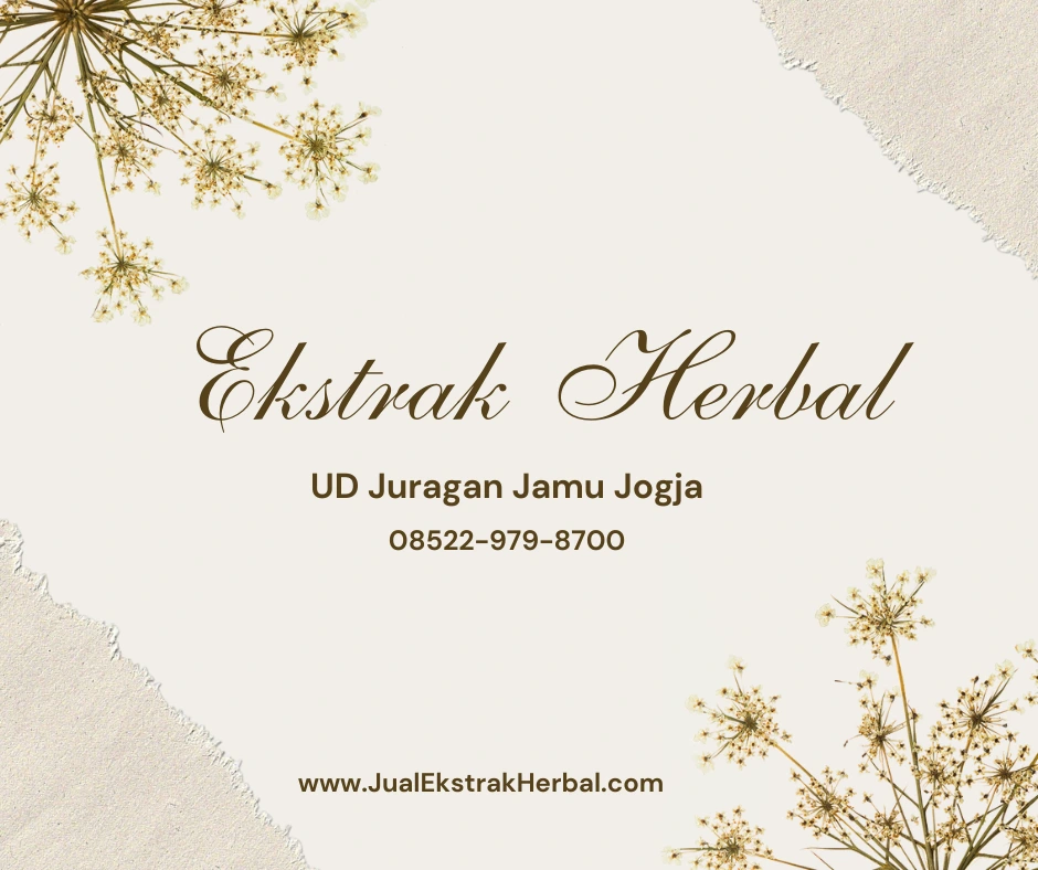 Jual Ekstrak Adas Manis Harga Hemat