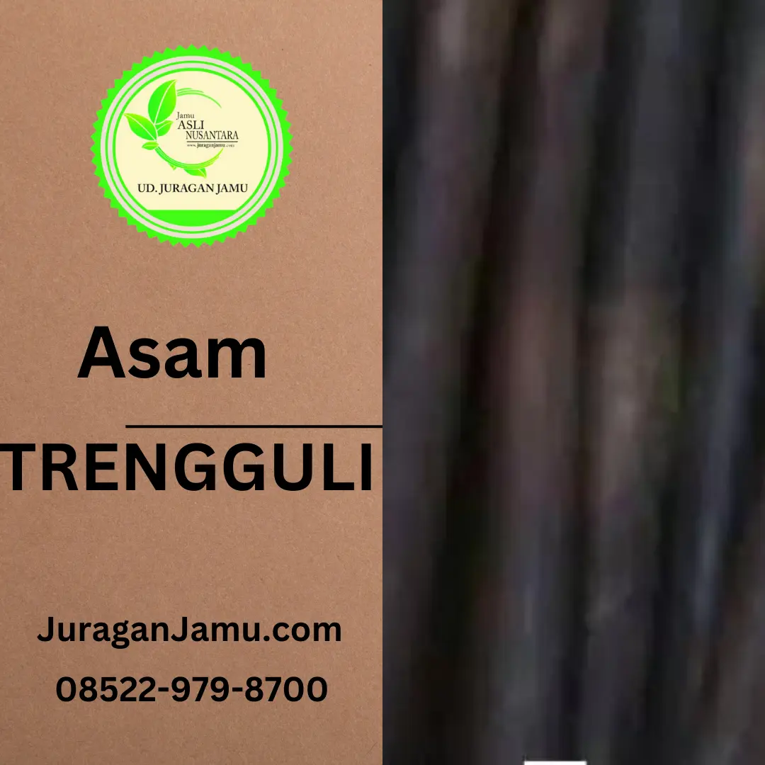 Jual Asam Trengguli Grosir Di Sleman Jogja