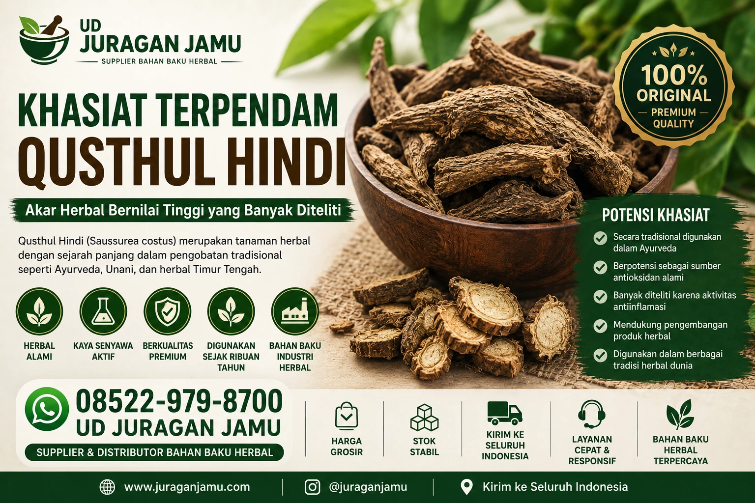 khasiat terpendam qusthul hindi