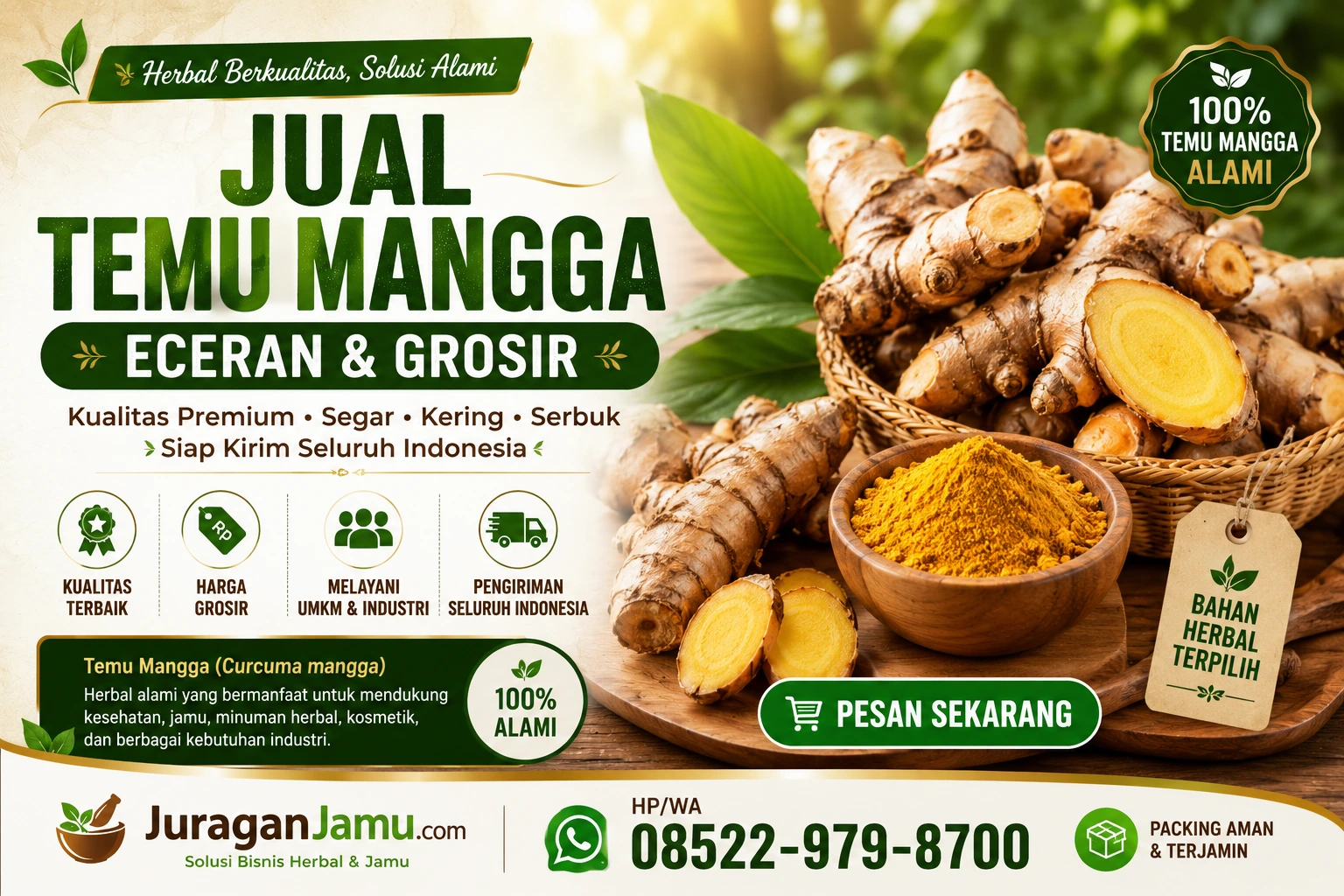 supplier temu mangga curcuma mangga