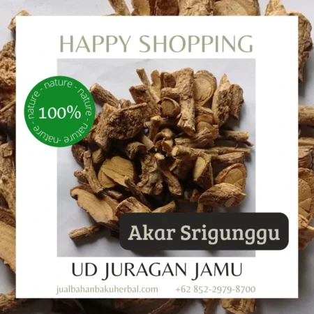 Jual Akar Srigunggu Harga Grosir di UD Juragan Jamu Sleman Jogja