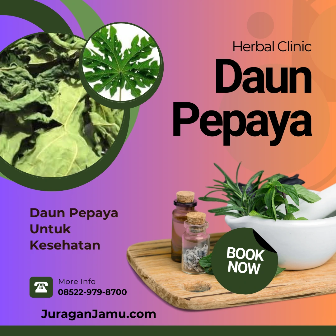 Manfaat Akar Pepaya Untuk Pengobatan Harga Grosir di UD Juragan jamu