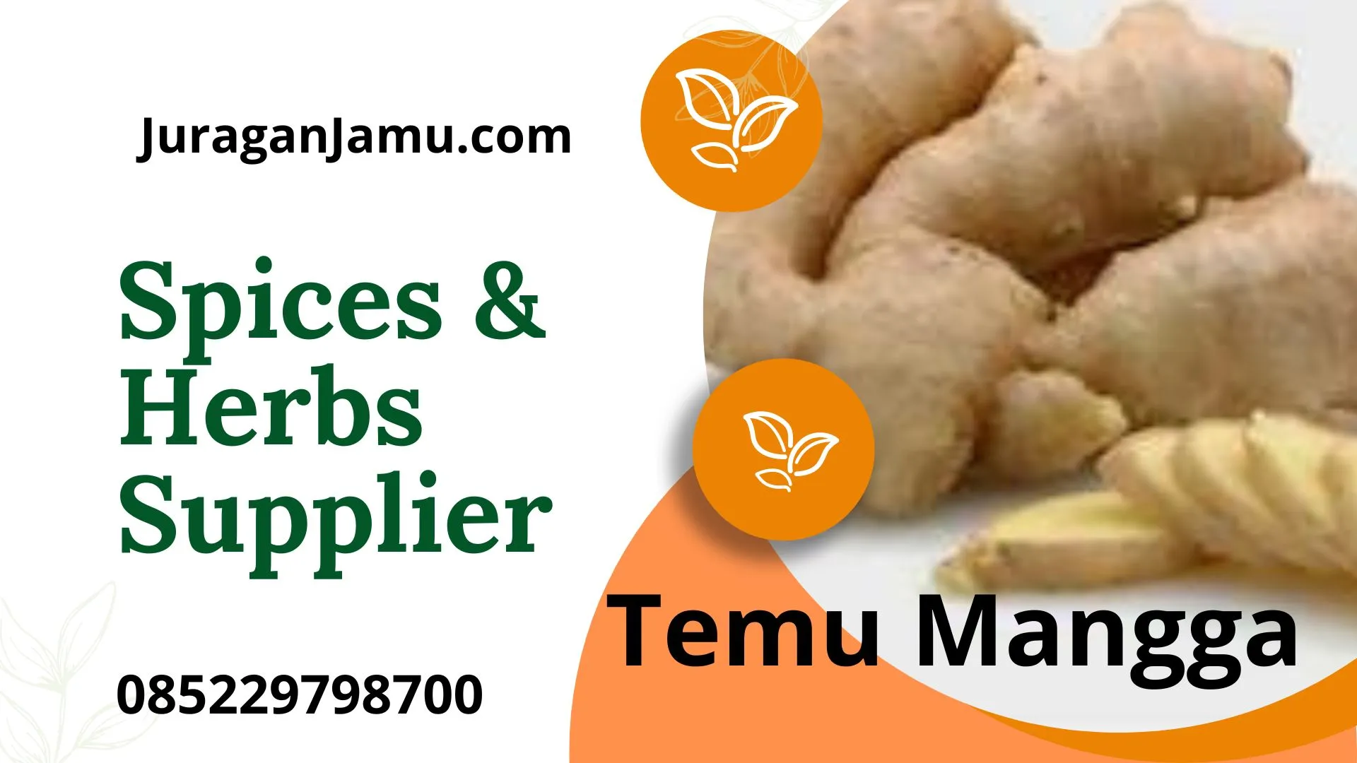 Jual Ekstrak Temu Mangga (Curcuma mangga)