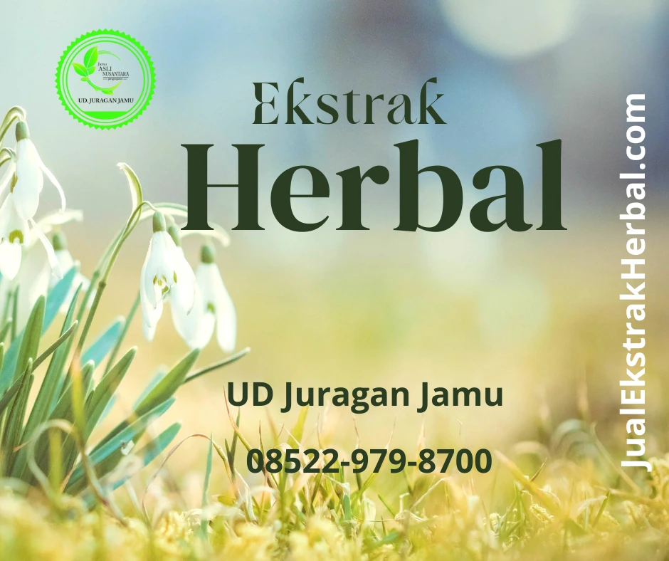 bahan baku herbal
