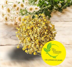 Ud Juragan Jamu Jogja Supplier Terpercaya Bahan Baku Jamu Herbal dan Bunga Chamomile Berkualitas Tinggi