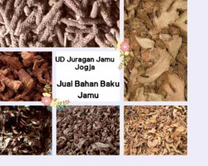 Supplier Bahan Baku Herbal Terlengkap