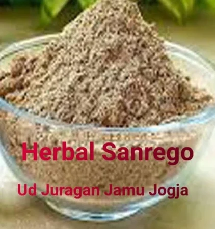 Jual Sanrego Harga Grosir Ud Juragan Jamu Jogja