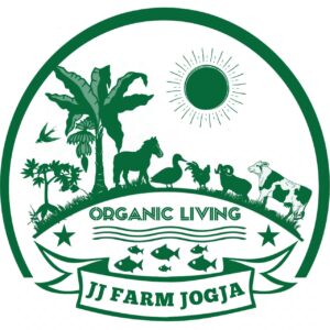 JJ Farm - Jual Domba Betina Bunting Di Jogja