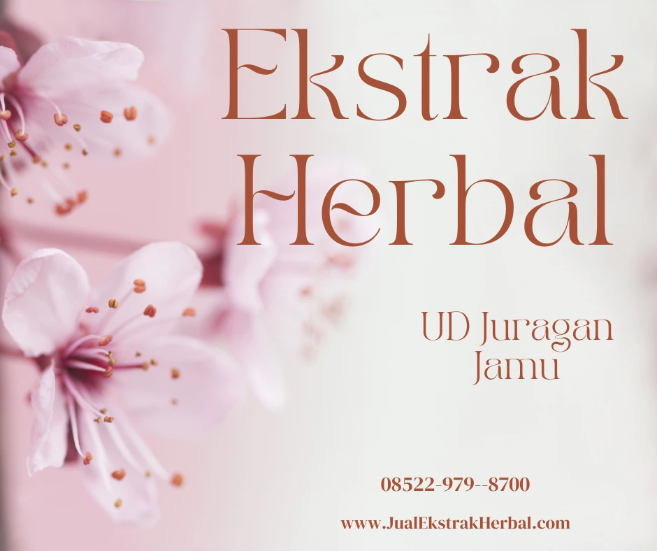 UD Juragan Jamu Jogja: Tempat Terbaik untuk Adas Manis Berkualitas