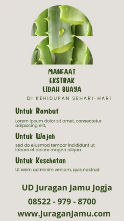 Jual Lidah Buaya Terdekat di Sleman Jogja: Manfaat Ajaib untuk Kesehatan