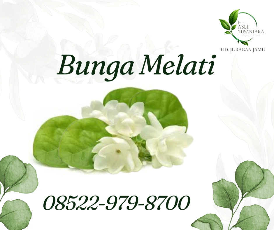 manfaat bunga melati