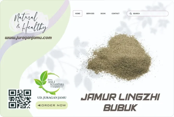 30 Manfaat Jamur Lingzhi | UD Juragan Jamu Supplier Jamur Lingzhi di Jogja