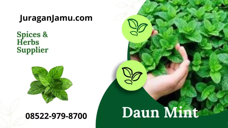 Jual Daun Mint di UD Juragan Jamu Jogja Harga Grosir