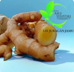 Temu Mangga Berkualitas dengan Harga Terjangkau Ud Juragan Jamu Jogja