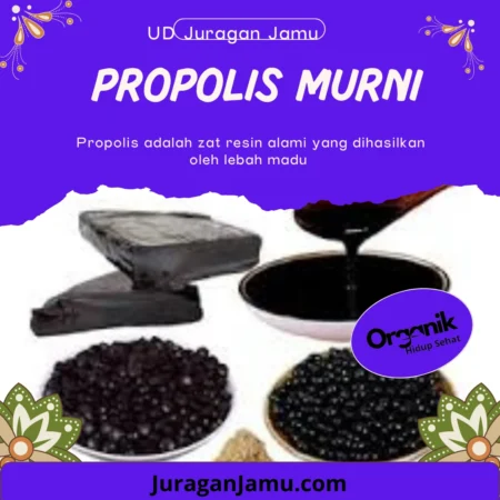 Temukan Propolis Murni Terbaik di UD Juragan Jamu Jogja!