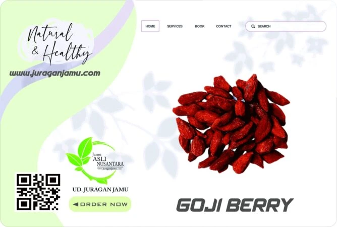jual buah gojibery untuk kesehatan