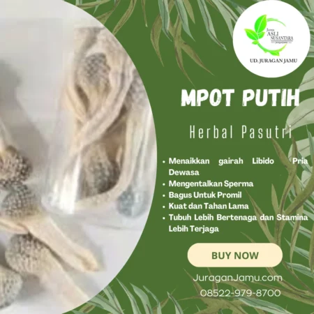 Mpot-Putih-Jamu-Mpot-Jamu-Pria-Jamu-Kejantanan-Mpot-Albino-Mpot-Original-Khusus-Cowok.