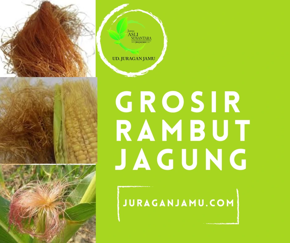 Grosir Rambut Jagung – UD Juragan Jamu Jogja