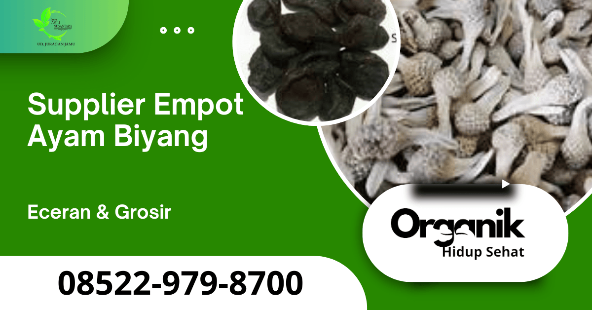 Jual Empot Ayam di Yogyakarta
