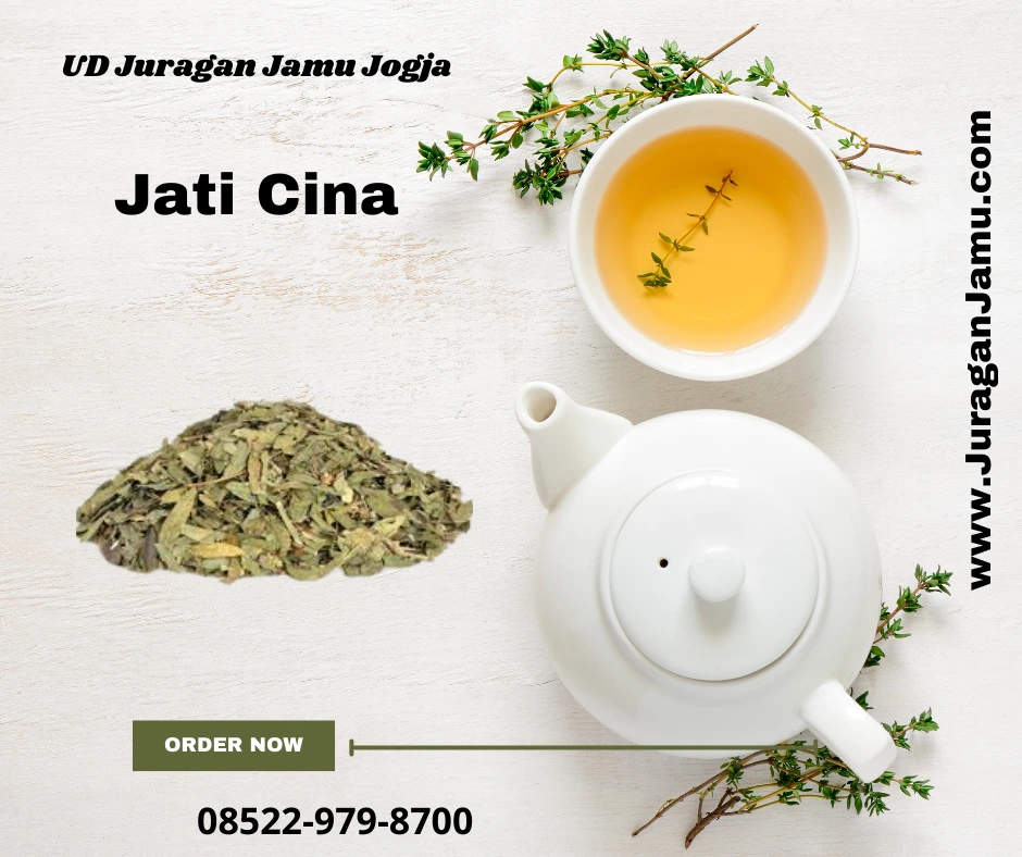 jual daun jati cina kering