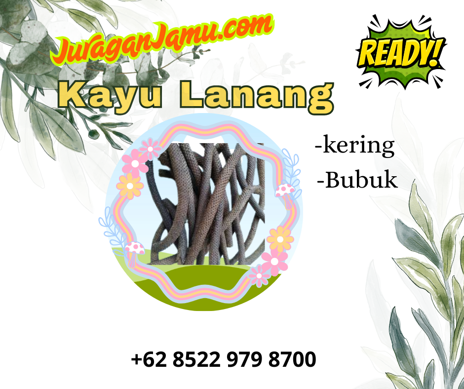 9-manfaat-kayu-lanang