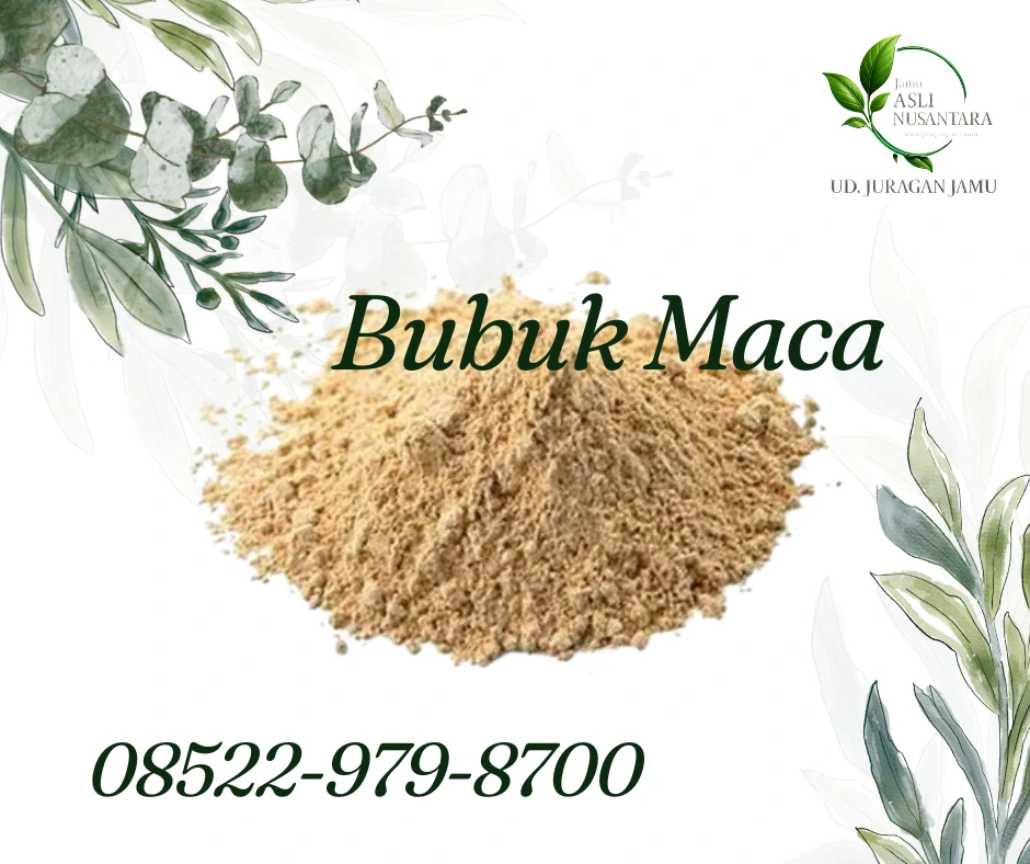 grosir-maca-powder-terbaik-di-indonesia-kenapa-harus-di-ud-juragan-jamu