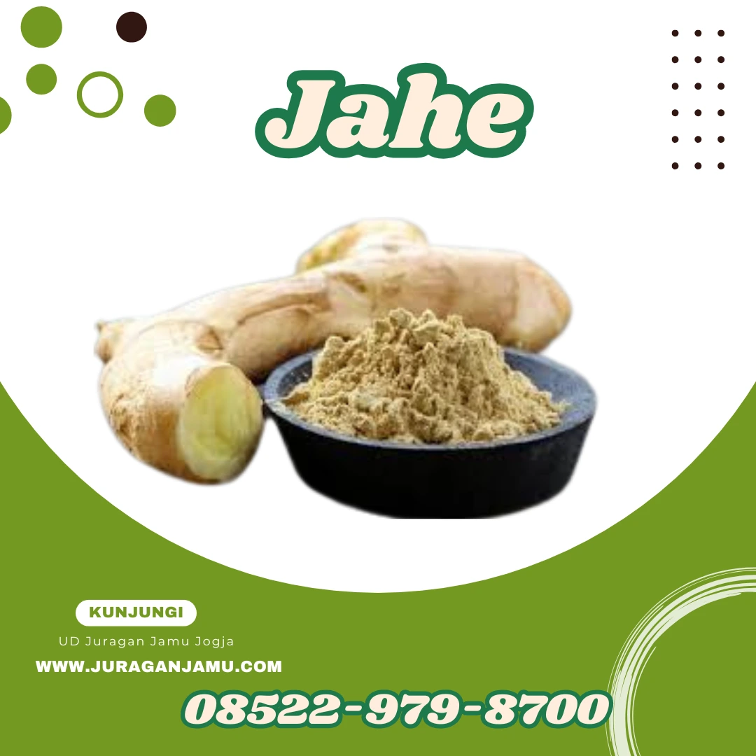 17 manfaat jahe untuk kesehatan terbukti ilmiah