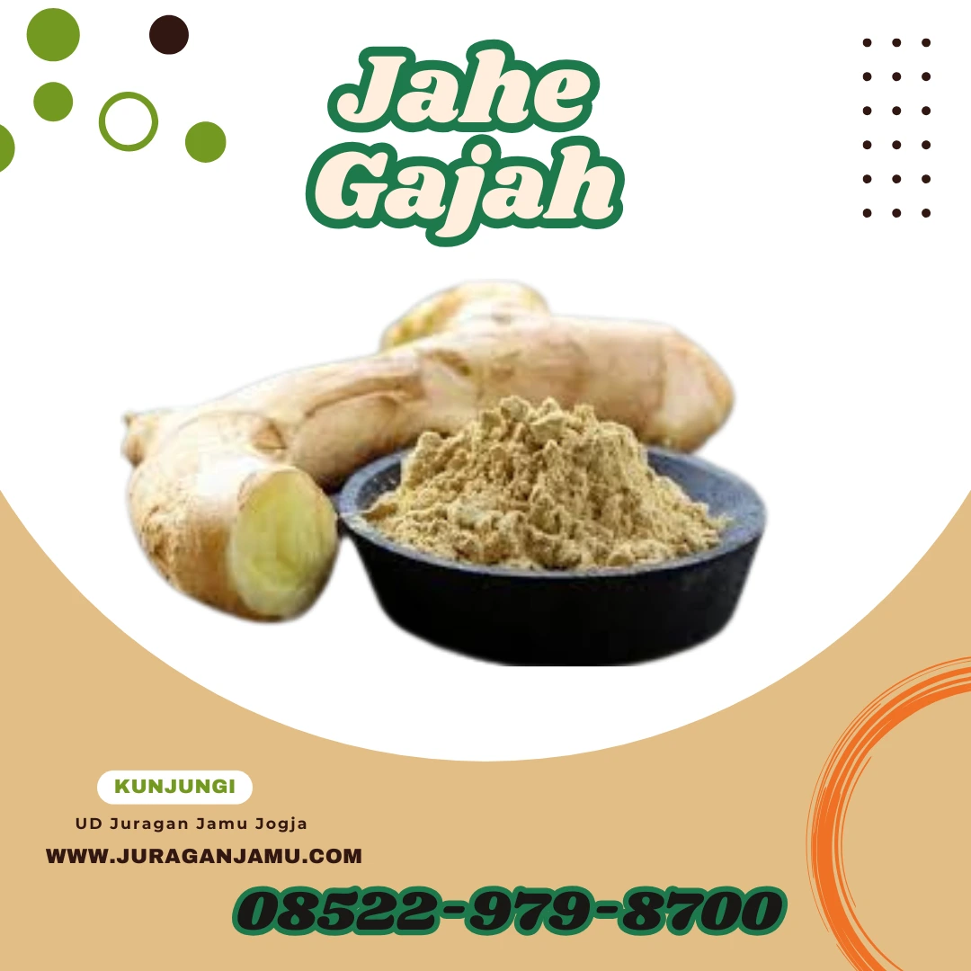 jahe gajah untuk diet, kolestrol, imunitas