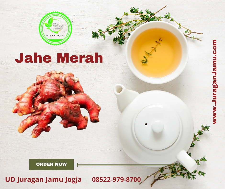 manfaat jahe merah