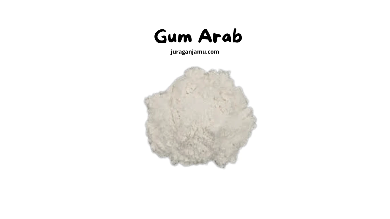 manfaat gum powder arabic