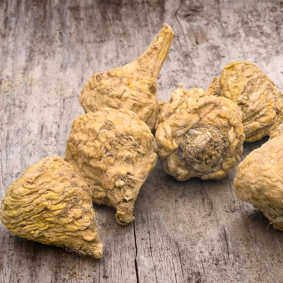 maca root untuk wanita dewasa