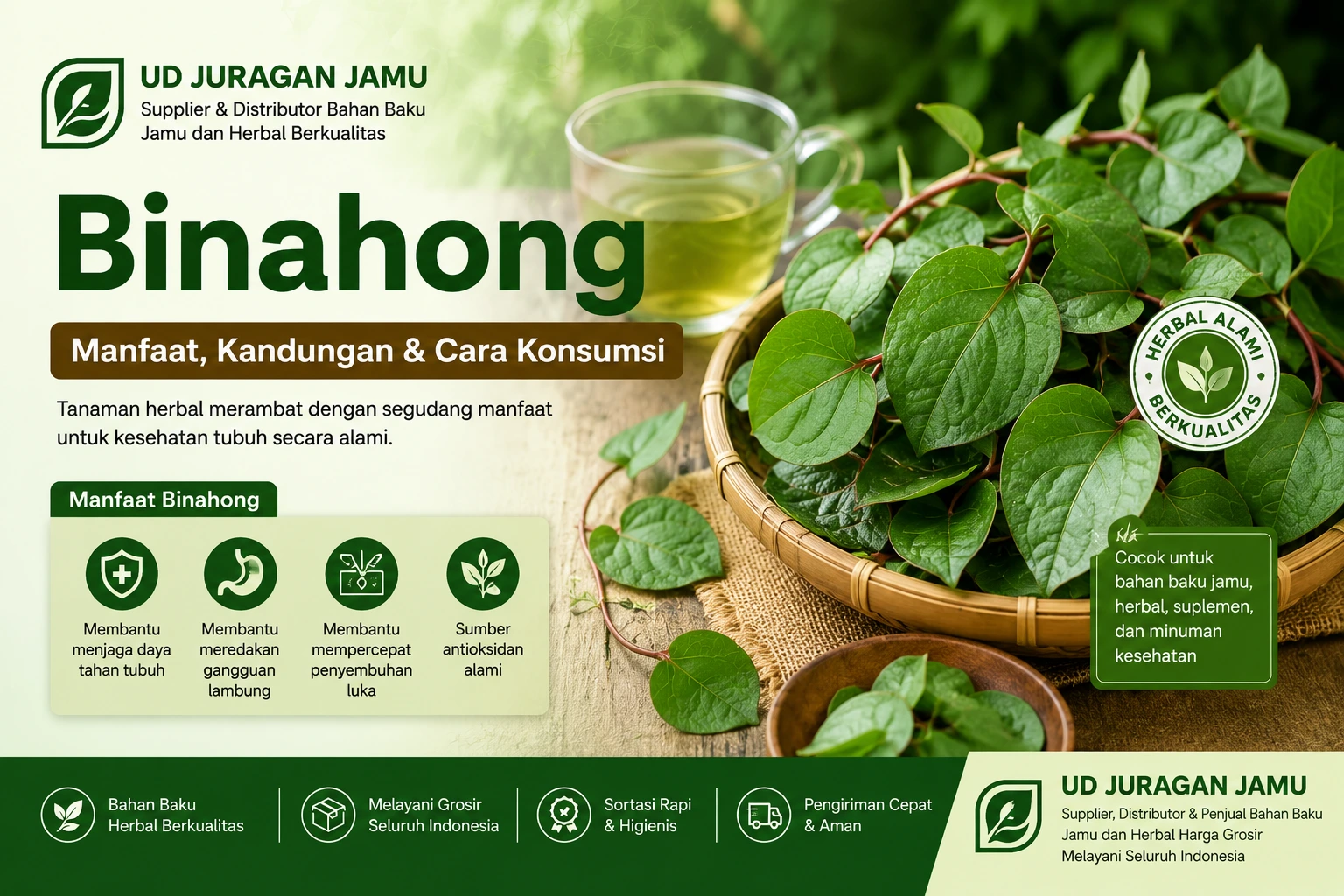 manfaat binahong