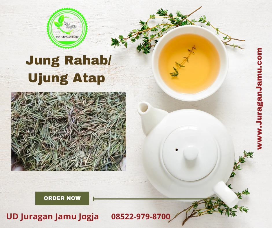jungr ahab atau ujung atap