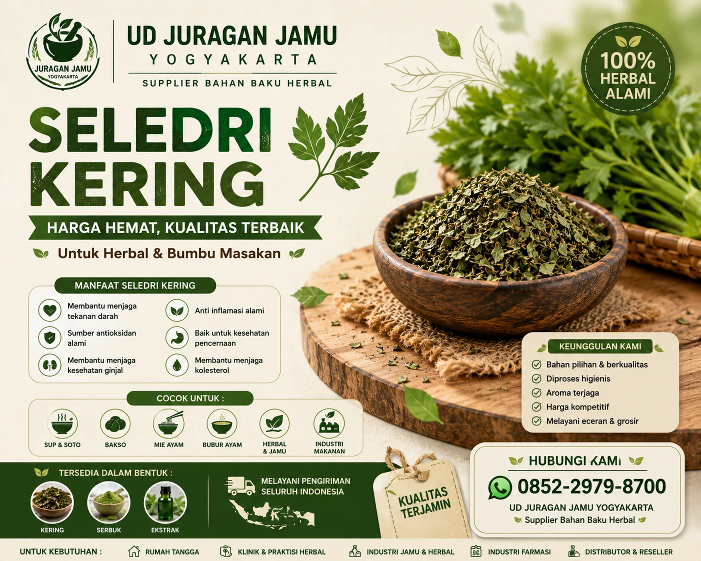 manfaat dari seledri