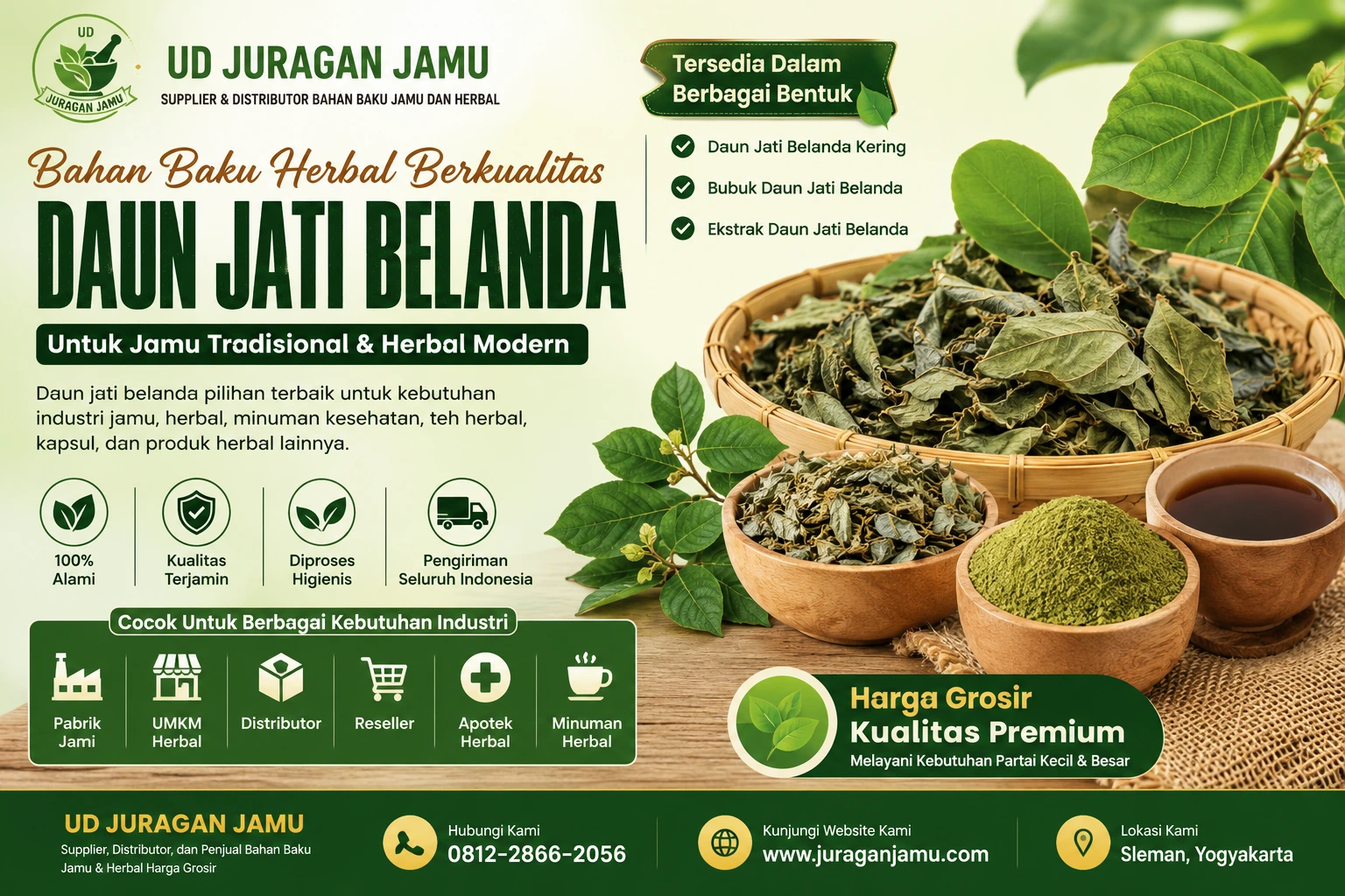 manfaat daun jati belanda