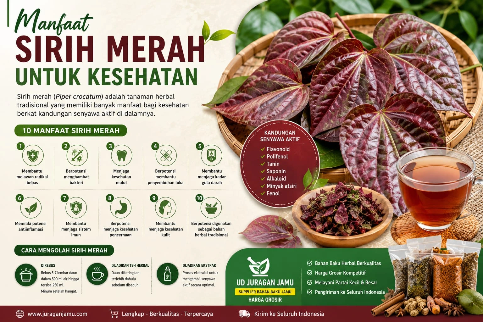manfaat sirih merah untuk kesehatan