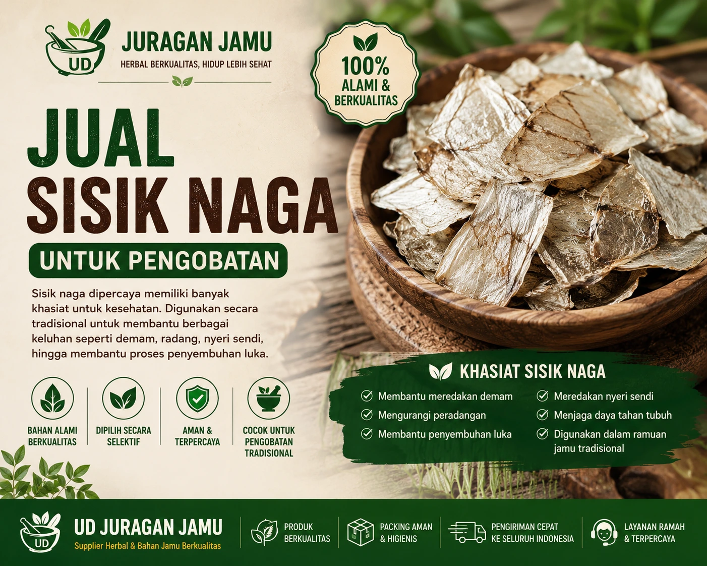 12 manfaat sisik naga