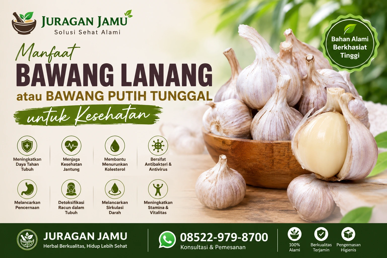 manfaat bawang lanang