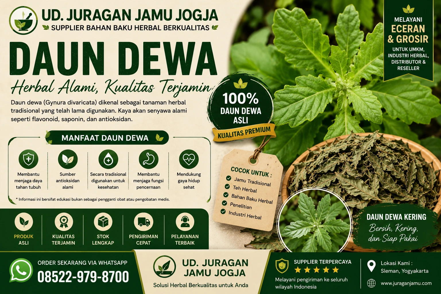 manfaat daun dewa